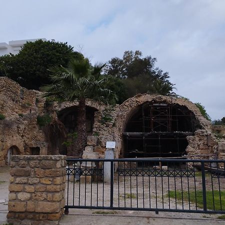 Appartement A Carthage Byrsa Dış mekan fotoğraf