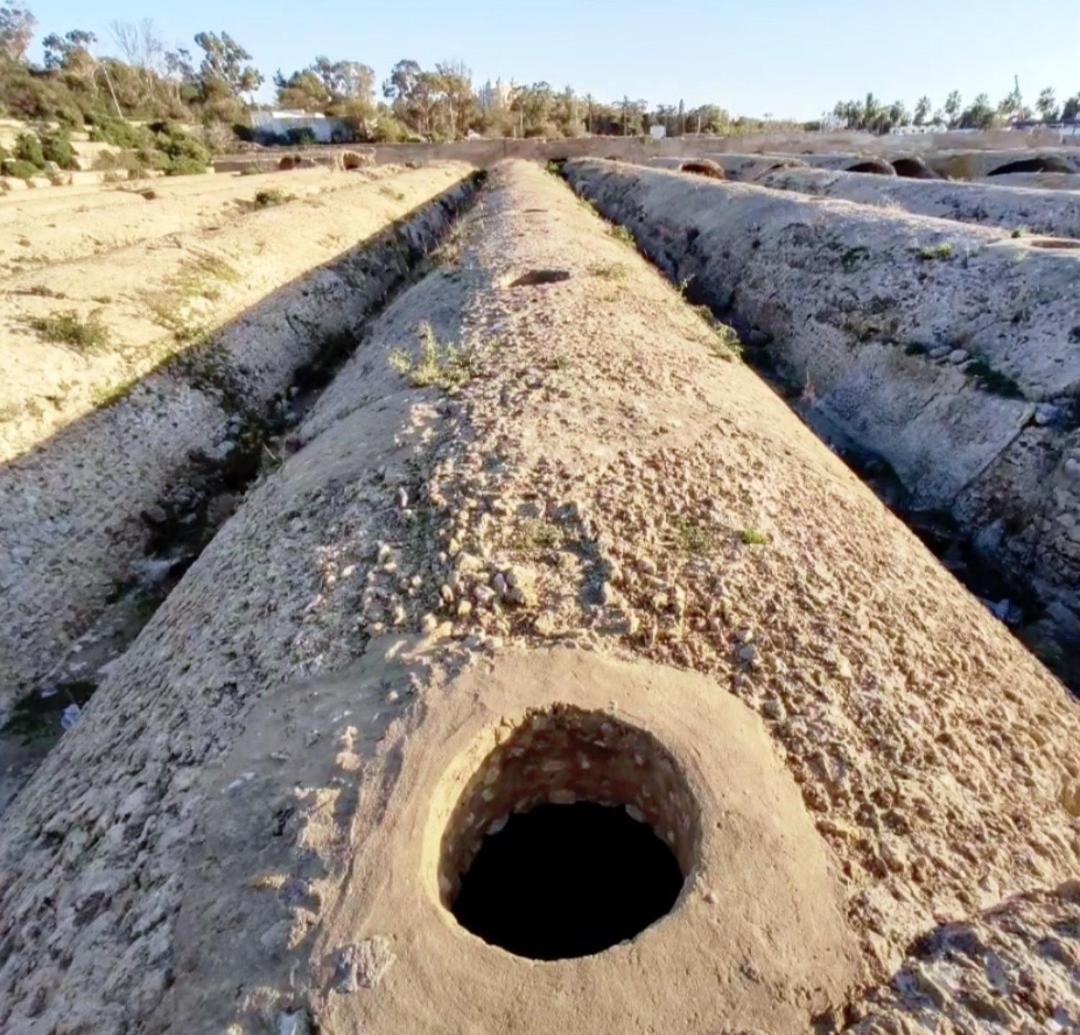 Appartement A Carthage Byrsa Dış mekan fotoğraf