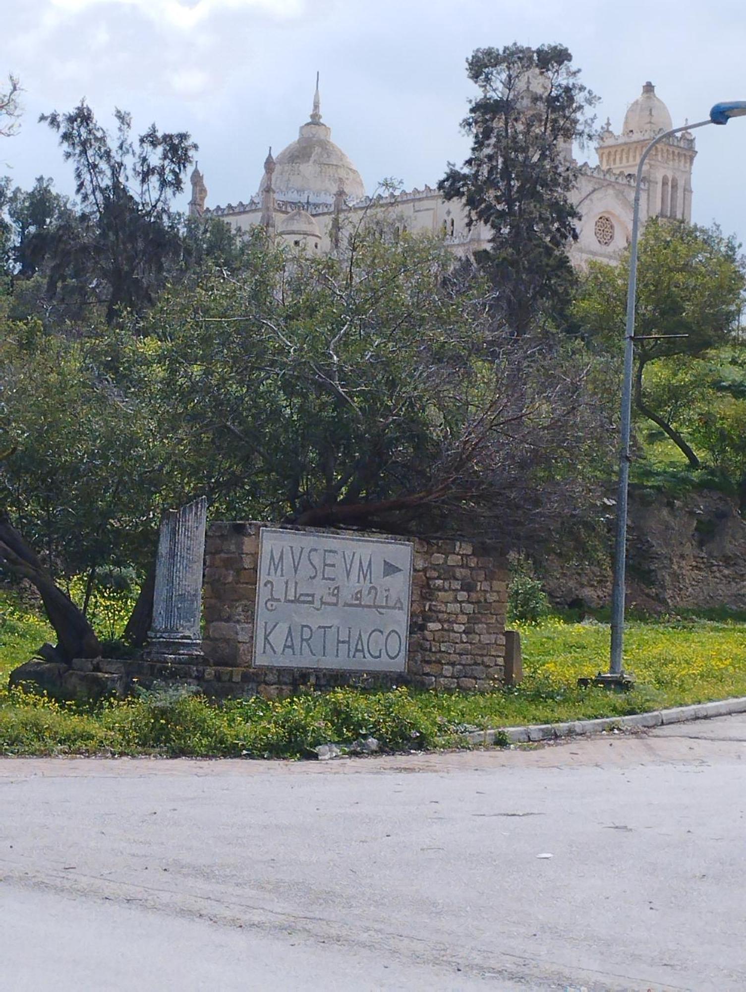 Appartement A Carthage Byrsa Dış mekan fotoğraf