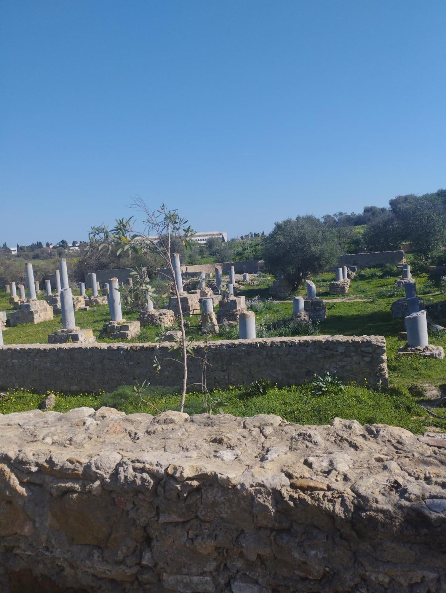 Appartement A Carthage Byrsa Dış mekan fotoğraf