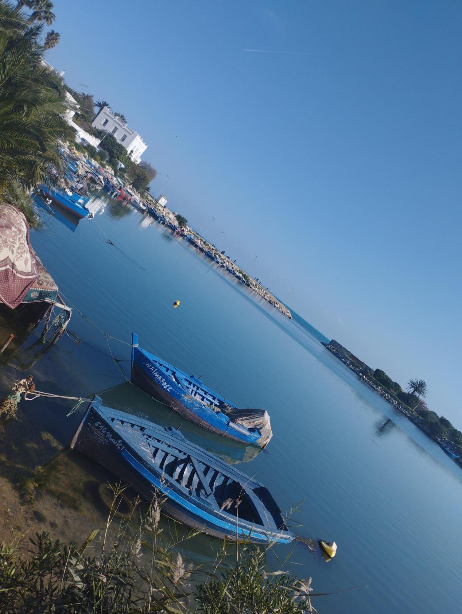 Appartement A Carthage Byrsa Dış mekan fotoğraf